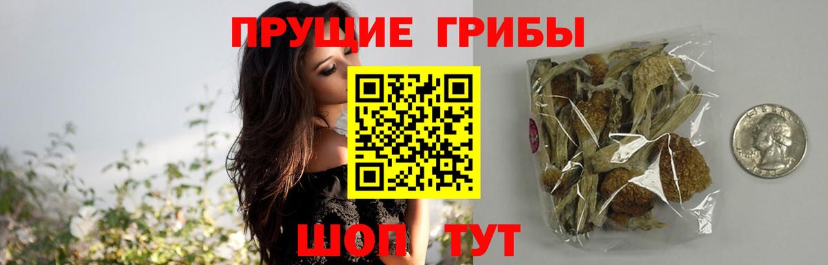 Галлюциногенные грибы мухоморы  Вход с VPN  Галлюциногенные грибы Psilocybine cubensis  Мариинск 